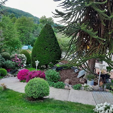 Evia Ferienwohnung Heimbach Exteriör bild