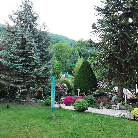 Evia Ferienwohnung Heimbach Exteriör bild